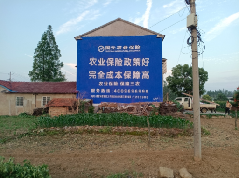 咸丰墙体广告为何受追捧？