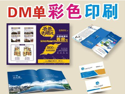 咸丰单页印刷，色彩搭配简单。